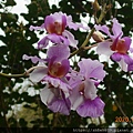 DSCN2090.JPG