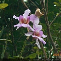 DSCN2093.JPG