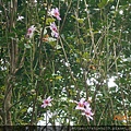 DSCN2089.JPG