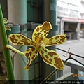 DSCN2184.JPG