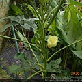 DSCN2371.JPG