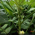 DSCN2367.JPG