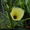 DSCN2364.JPG