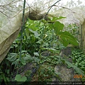 DSCN2370.JPG