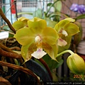 DSCN2618.JPG