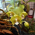 DSCN2616.JPG