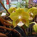 DSCN2617.JPG