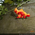 DSCN2709.JPG
