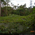 DSCN2706.JPG