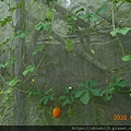 DSCN2708.JPG