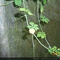 DSCN2710.JPG