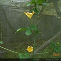 DSCN2711.JPG