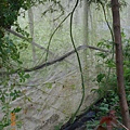 DSCN2713.JPG