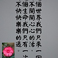 DSCN3887-6.jpg