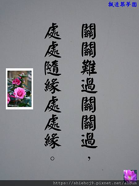 DSCN3887-8.jpg