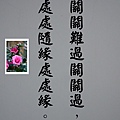 DSCN3887-8.jpg