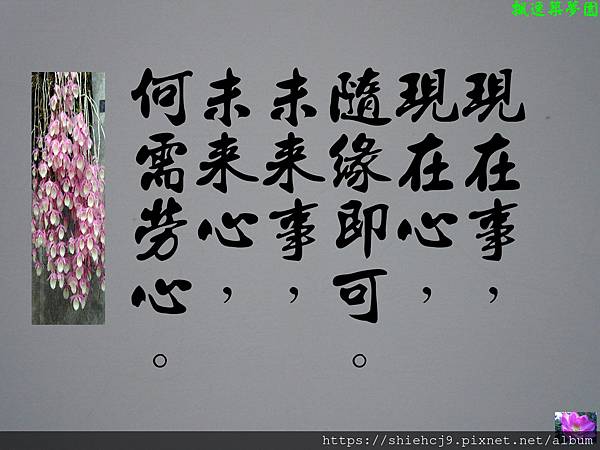 DSCN3887-2.jpg
