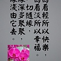 DSCN3888-8.jpg