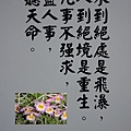 DSCN3888-9.jpg