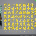 DSCN3889-7.jpg