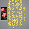 DSCN3889-10.jpg