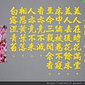 DSCN3889-8.jpg