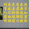 DSCN3889-9.jpg