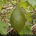 DSCN2927.JPG