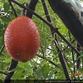 DSCN2926.JPG