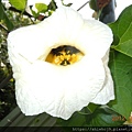 DSCN8648.jpg
