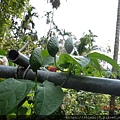 DSCN8650.jpg