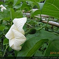 DSCN9063.jpg