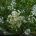 DSCN3072.JPG