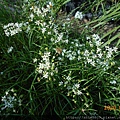 DSCN3074.JPG