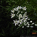 DSCN3071.JPG
