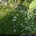 DSCN3070.JPG
