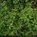 DSCN3302.JPG