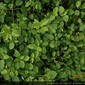 DSCN3300.JPG
