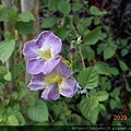 DSCN3296.JPG