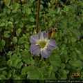 DSCN3298.JPG