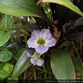 DSCN3304.JPG
