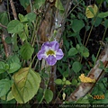 DSCN3299.JPG