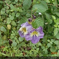 DSCN3303.JPG