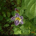 DSCN3301.JPG