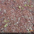DSCN3312.JPG