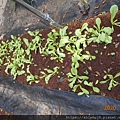 DSCN3313.JPG