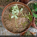 DSCN3317.JPG