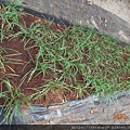 DSCN3314.JPG