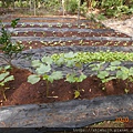 DSCN3305.JPG