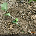 DSCN3523.JPG